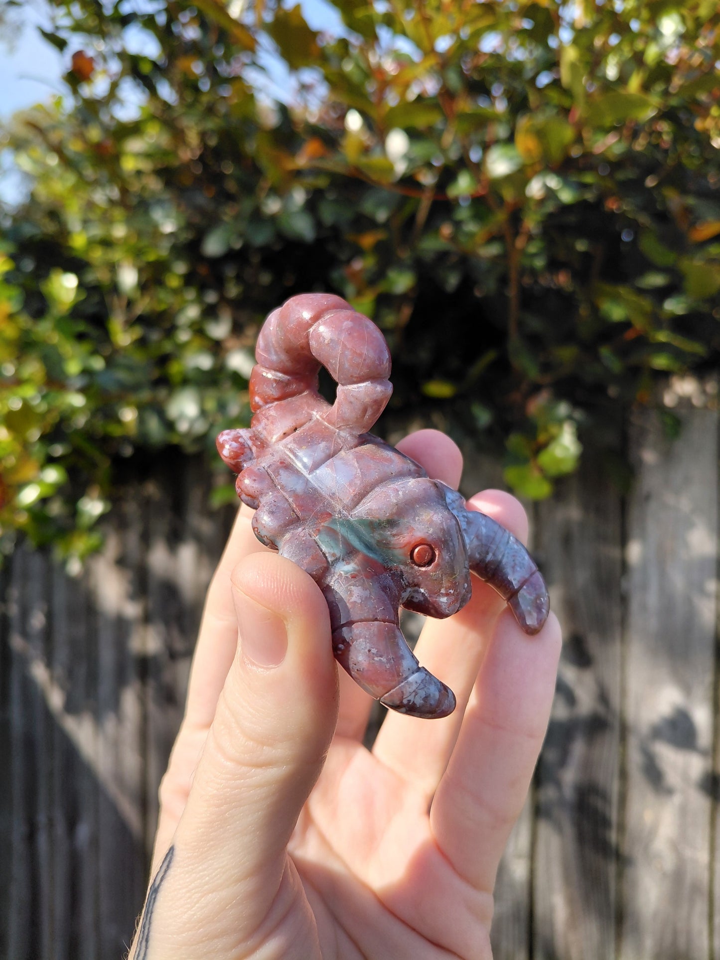 Ocean Jasper Scorpion B