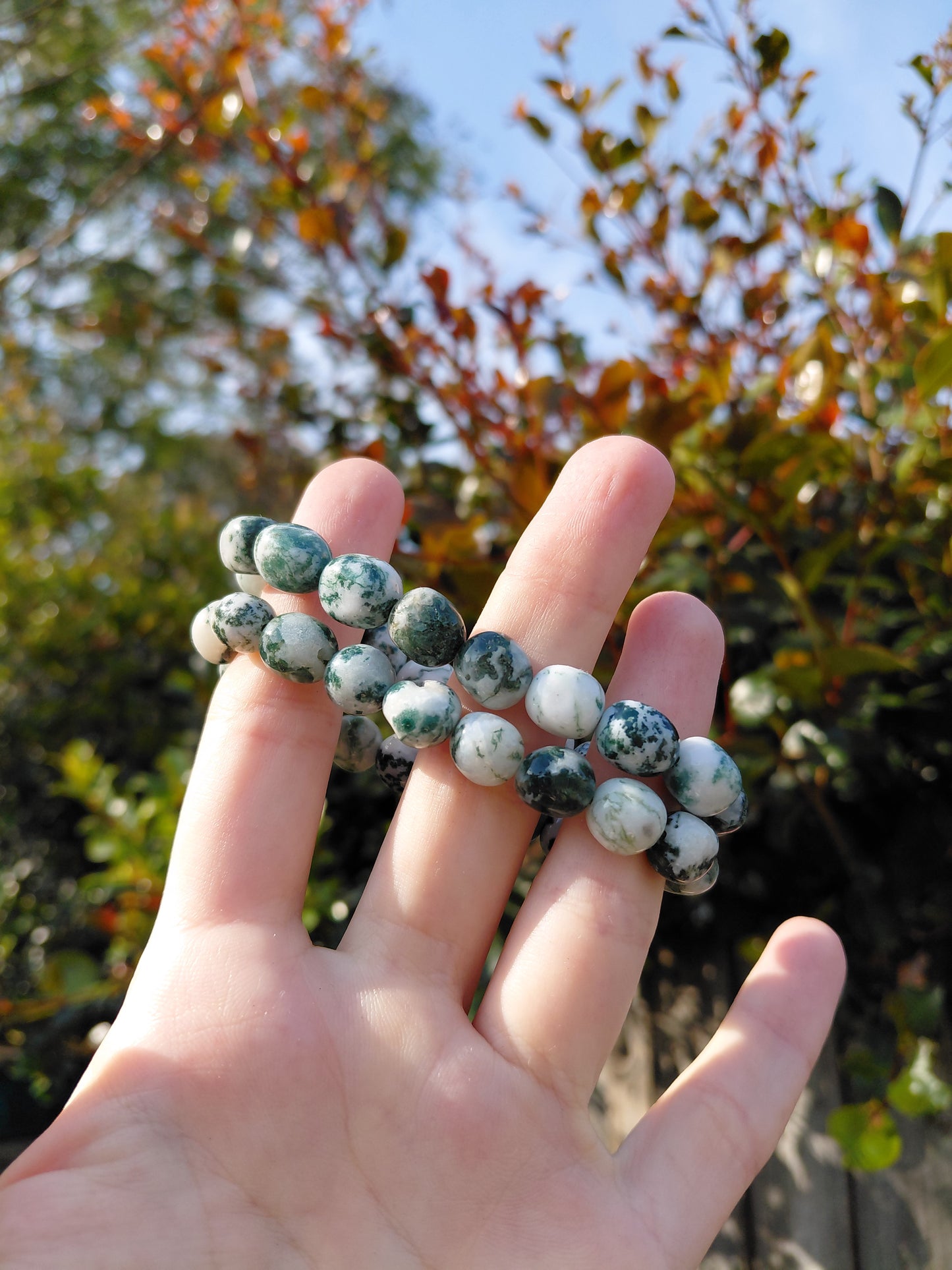 Tree Agate Tumbled Bracelets