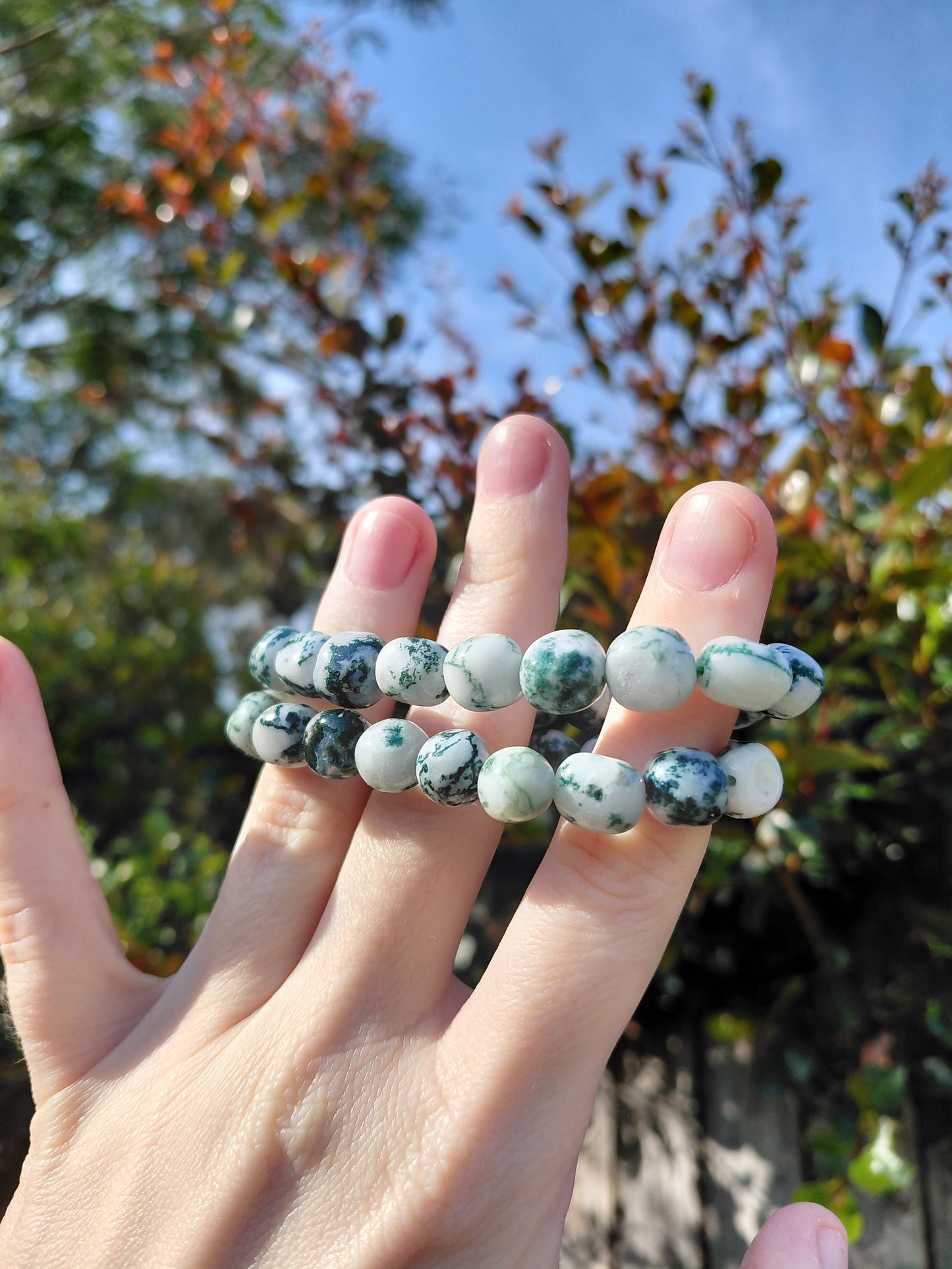 Tree Agate Tumbled Bracelets
