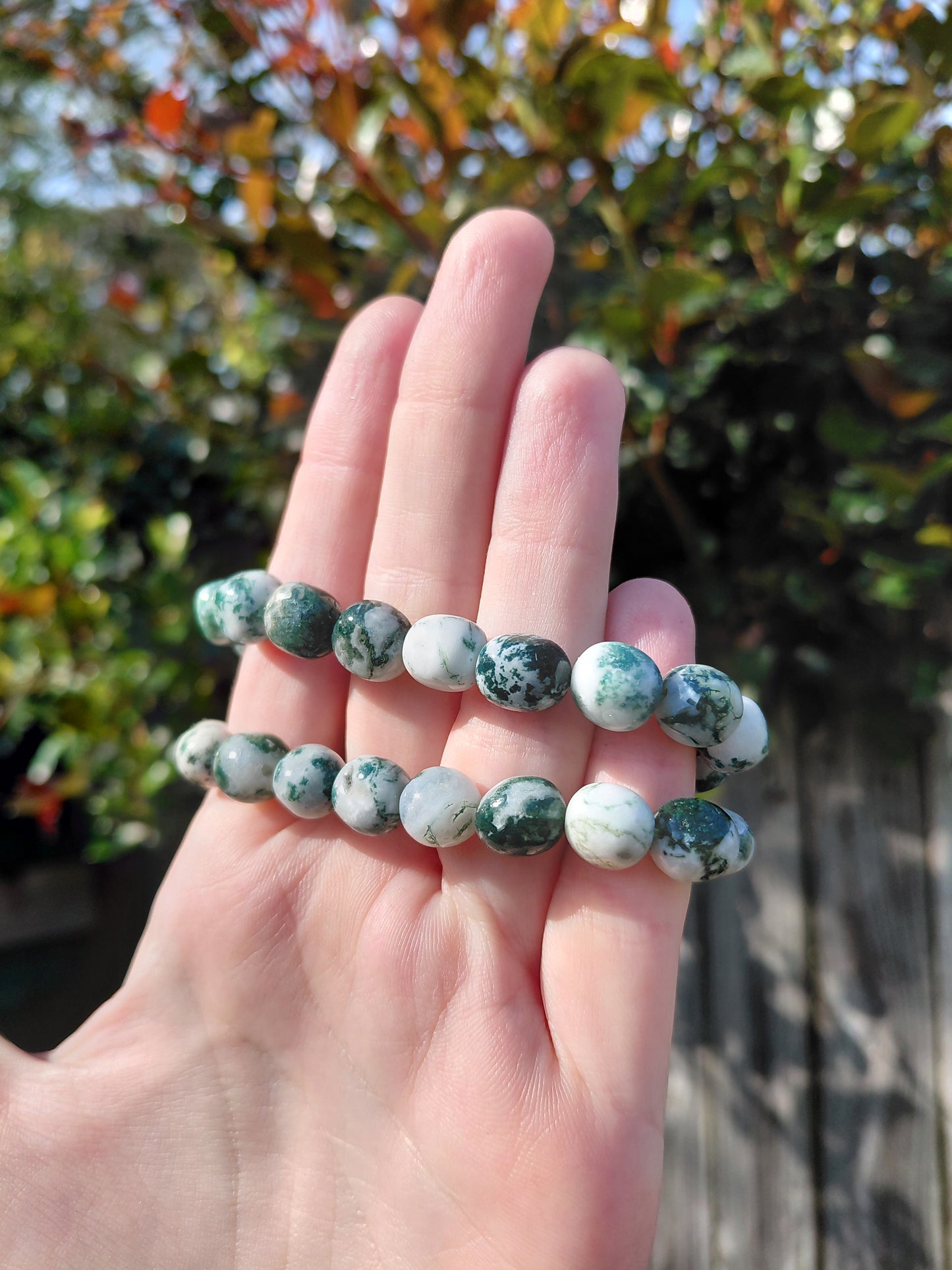 Tree Agate Tumbled Bracelets