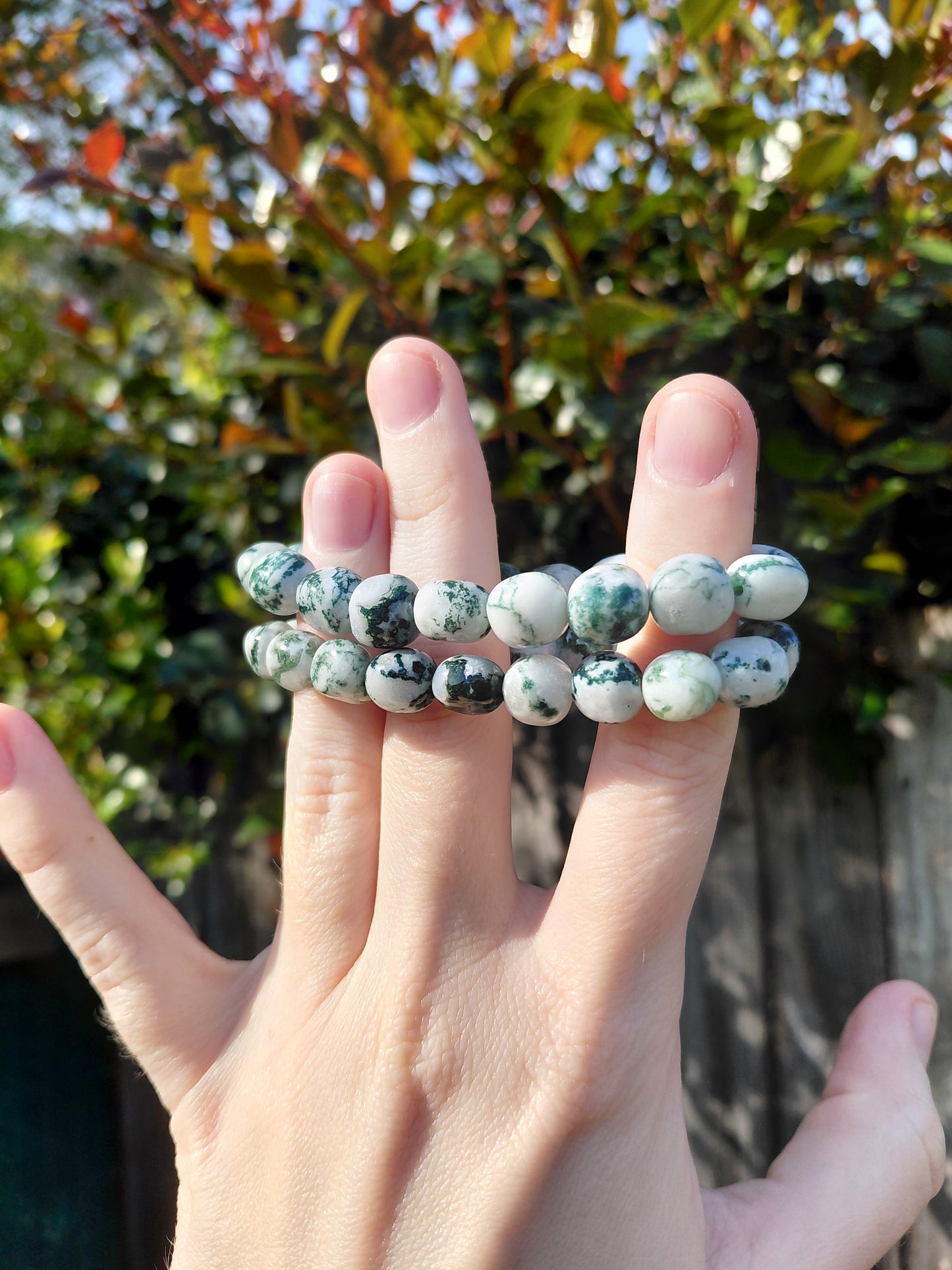 Tree Agate Tumbled Bracelets