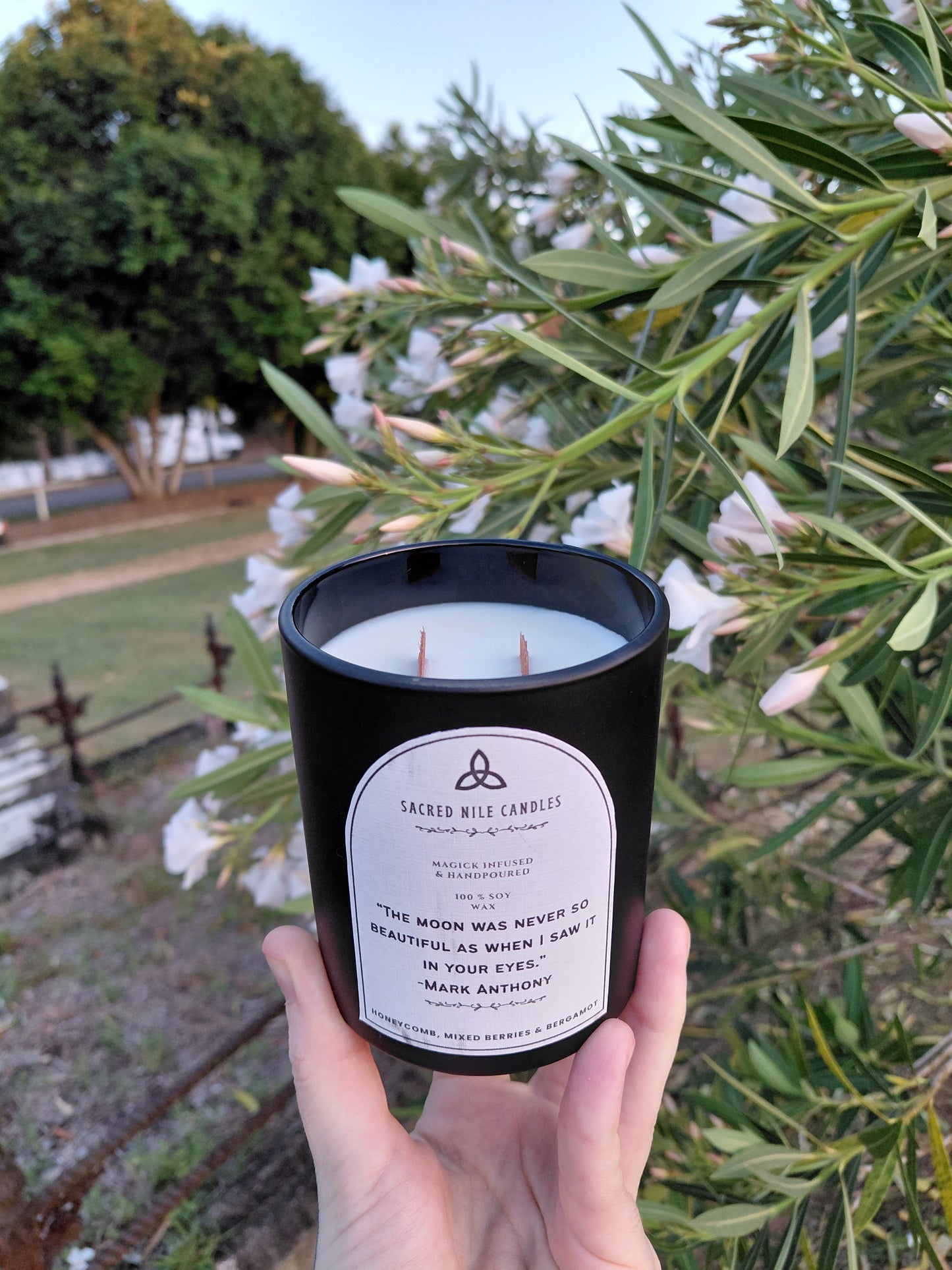 The Momento Mori Collection: Mark Anthony - Honeycomb, Mixed Berries & Bergamot